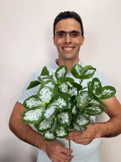 بوته مصنوعی قاشقی برفکی