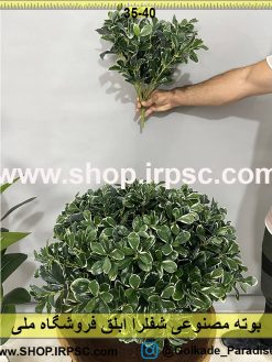 خرید بوته مصنوعی شفلرا ابلق کدIRPSC135