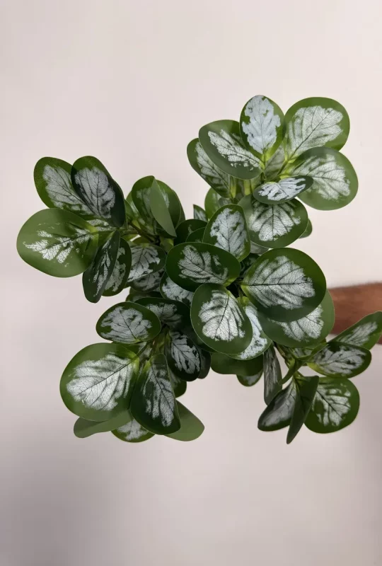 خرید بوته مصنوعی قاشقی برفکی