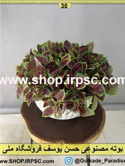 خرید بوته مصنوعی حسن یوسف کدIRPSC138