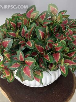 خرید بوته مصنوعی حسن یوسف کدIRPSC140