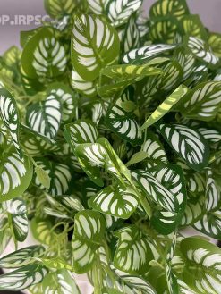 خرید بوته مصنوعی برگ هندوانه‌ای کدIRPSC141