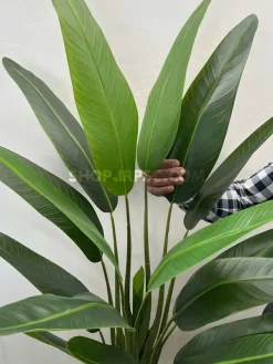 خرید درختچه مصنوعی استرزیا 1.2 متری