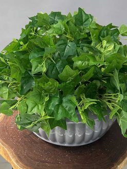 خرید بوته مصنوعی پاپیتال کدIRPSC147