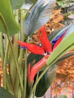 درختچه مصنوعی استرلیتزیا ارزان