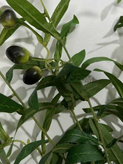 عکس شاخه برگ مصنوعی زیتون