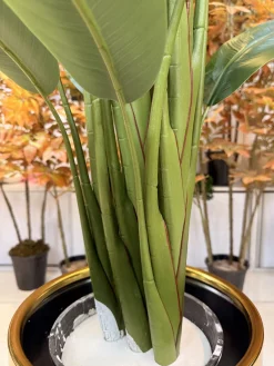 قیمت درختچه مصنوعی استرلیتزیا 1.7 متری