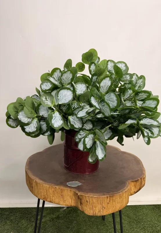 قیمت بوته مصنوعی قاشقی برفکی