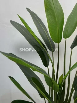 قیمت درختچه مصنوعی استرزیا 1.2 متری