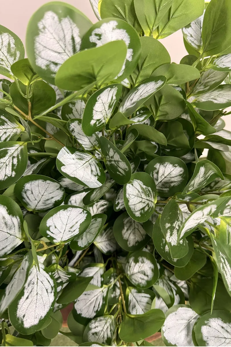 فروش بوته مصنوعی قاشقی برفکی