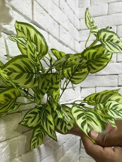 خرید بوته مصنوعی مارانتا کدIRPSC156