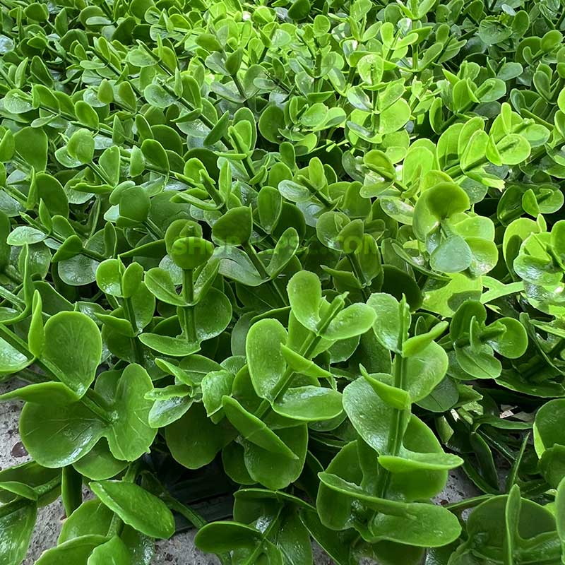 خرید پنل دیوار سبز مصنوعی شمشاد کدIRPSC013