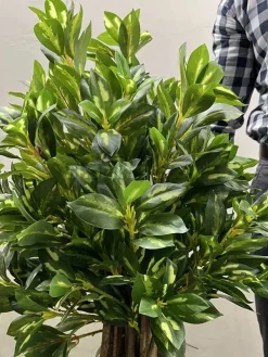 خرید درختچه مصنوعی بادام 1.3 متری