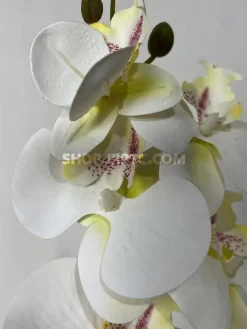 خرید شاخه گل مصنوعی ارکیده سفید