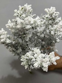 خرید بوته مصنوعی پفکی کدIRPSC159