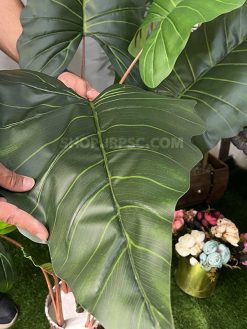 خرید درختچه مصنوعی آلوکازیا کدIRPSC169