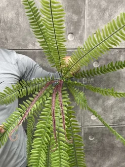 خرید بوته مصنوعی سرخس 90 سانتی