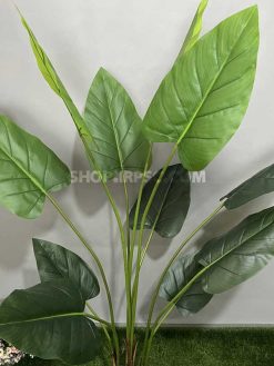 خرید درختچه مصنوعی آلوکازیا 1.9 متر