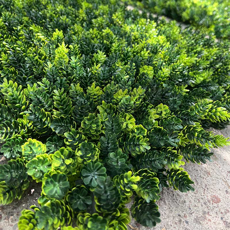 عکس پنل دیوار سبز مصنوعی کاجی کدIRPSC010