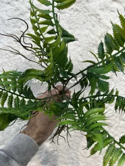 عکس بوته مصنوعی سرخس سبز