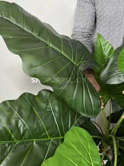 برگ درختچه مصنوعی آلوکازیا 1.7 متری