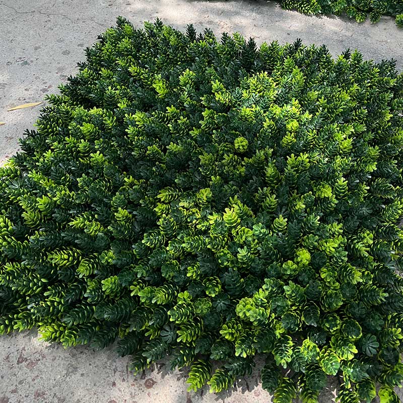 فروش پنل دیوار سبز مصنوعی کاجی کدIRPSC010