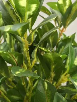 قیمت درختچه مصنوعی بادام 1.3 متری