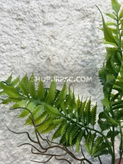 قیمت بوته مصنوعی سرخس سبز تیره و روشن