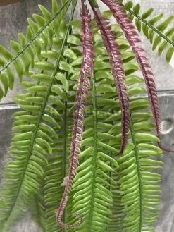 قیمت بوته مصنوعی سرخس 90 سانتی