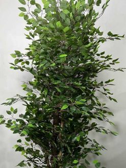 درختچه مصنوعی بنجامین