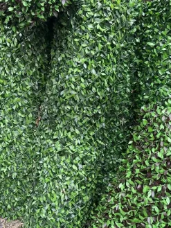 فروش چمن مصنوعی برگی