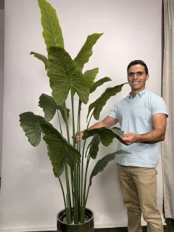 درختچه بابا آدم مصنوعی 1.8 متری