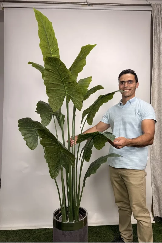 درختچه بابا آدم مصنوعی 1.8 متری