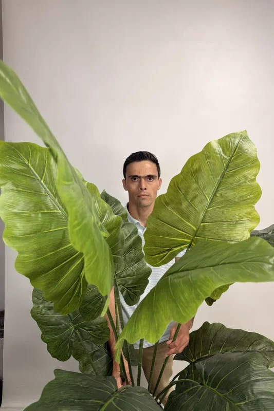 خرید درختچه بابا آدم مصنوعی 1.8 متری