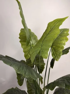 قیمت درختچه بابا آدم مصنوعی