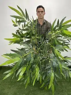 خرید درختچه مصنوعی بامبو خیزران 1.8 متری