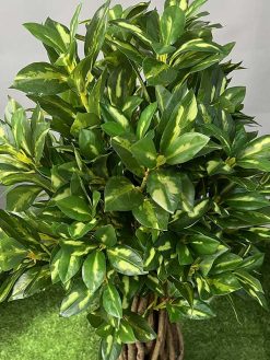 خرید درختچه مصنوعی بادام کدIRPSC189