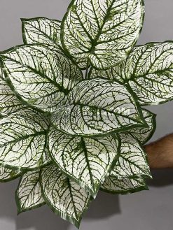 خرید بوته مصنوعی آلوکازیا ابلق کدIRPSC172