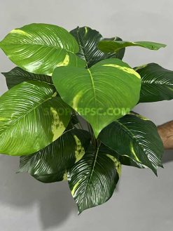 خرید بوته مصنوعی پتوس کدIRPSC173