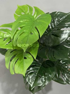 خرید بوته مصنوعی برگ انجیری کدIRPSC175