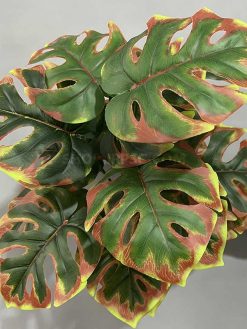 خرید بوته مصنوعی برگ انجیری ابلق پاییزی کدIRPSC177