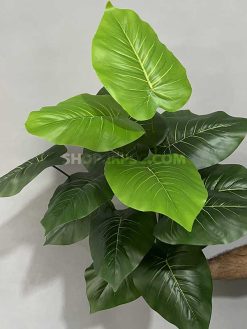 خرید بوته مصنوعی پتوس کدIRPSC178