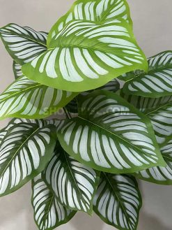 خرید بوته مصنوعی مارانتا ابلق کدIRPSC179