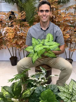 عکس بوته‌های مصنوعی