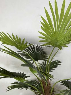 عکس درختچه مصنوعی نخل پالم 2.1 متری