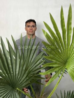 برگ درختچه مصنوعی نخل پالم 2.1 متری