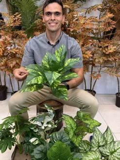 قیمت بوته‌های مصنوعی 12 برگ