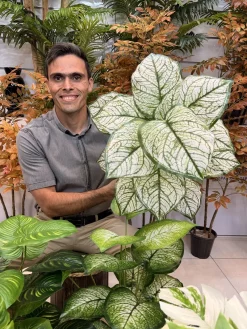 بوتههای مصنوعی 18 برگ جدید