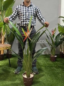 خرید درختچه مصنوعی استرزیا کدIRPSC209