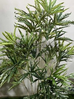 خرید درختچه مصنوعی پاچیرا کدIRPSC210